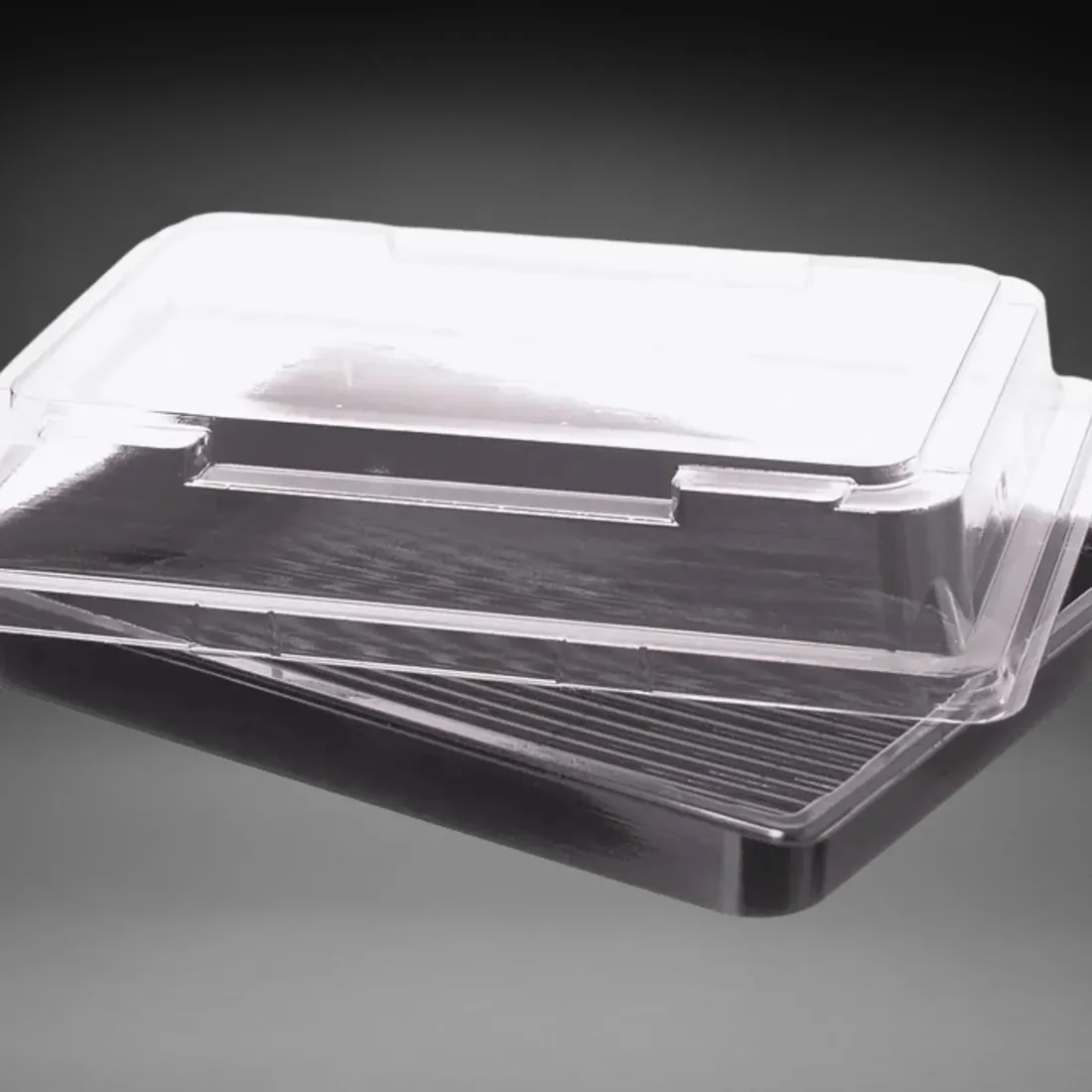 Sushi-Schale (Sushi-Box) mit Deckel